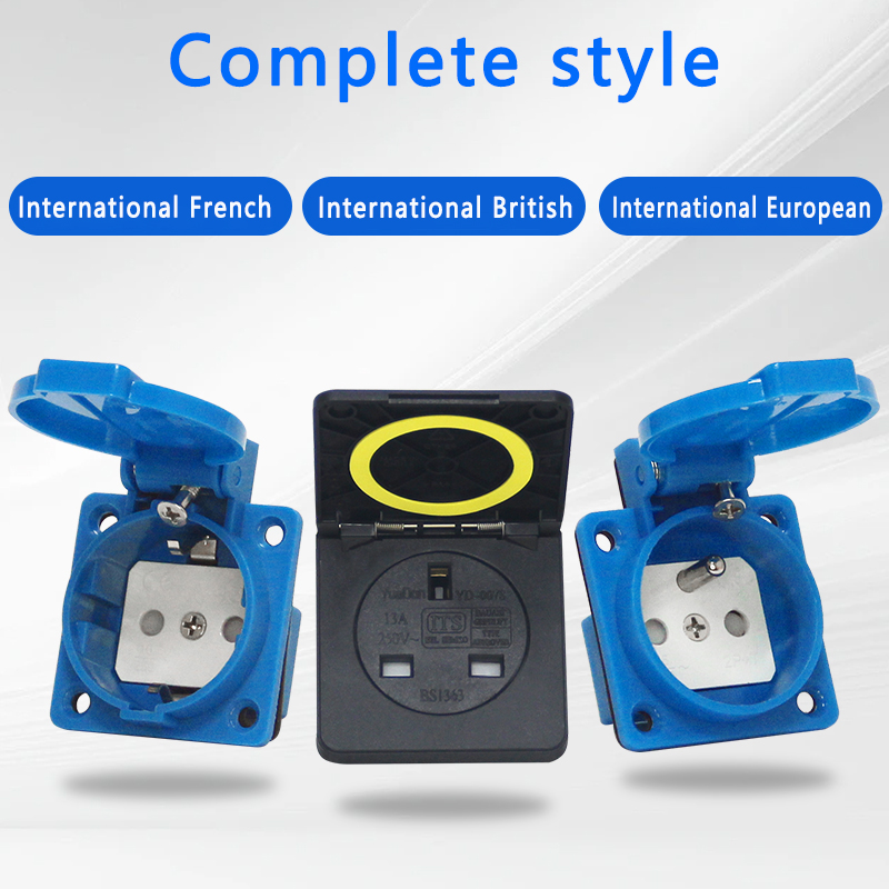 French/European/British Standa - Outdoor Power Strip With Cover 리뷰 및 가격