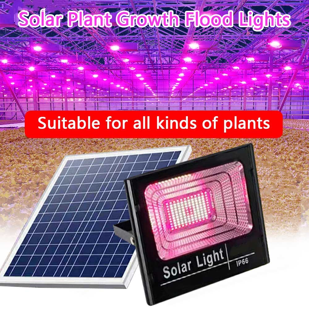 Solar LED Grow Light Full Spec - Outdoor Power And Plant 리뷰 및 가격