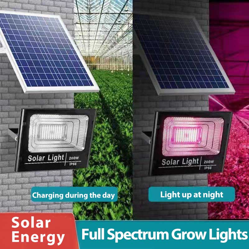 Solar LED Grow Light Full Spec - Outdoor Power And Plant 리뷰 및 가격