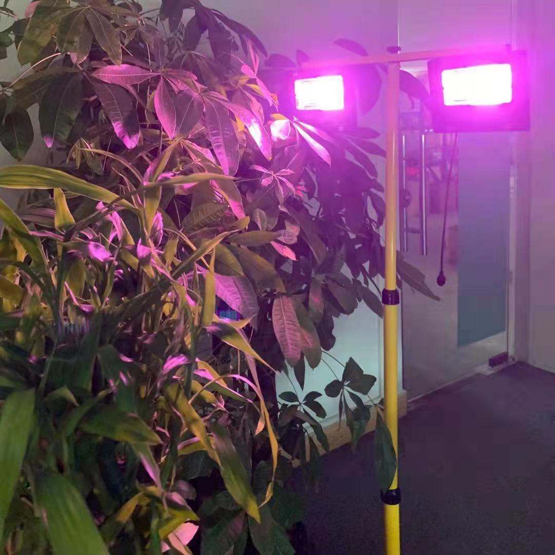 Solar LED Grow Light Full Spec - Outdoor Power And Plant 리뷰 및 가격