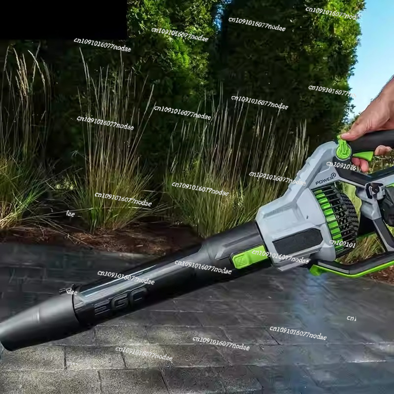and Charger Included GreenWork - Leaf Blower Cordless 리뷰 및 가격