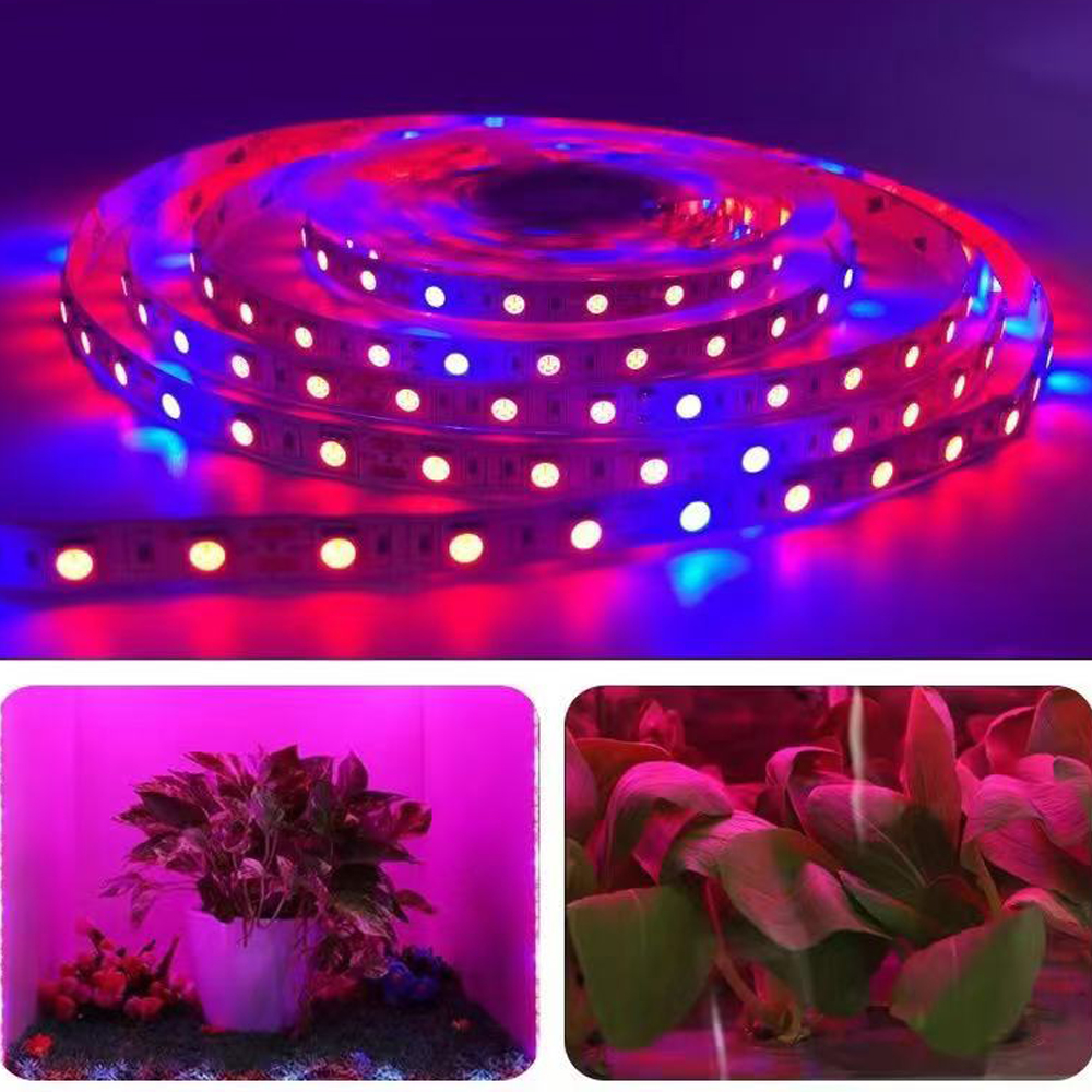 20M LED Grow Light Spectrum DC - Outdoor Power And Plant 리뷰 및 가격