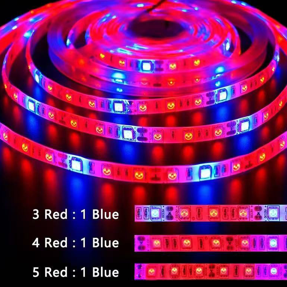 20M LED Grow Light Spectrum DC - Outdoor Power And Plant 리뷰 및 가격