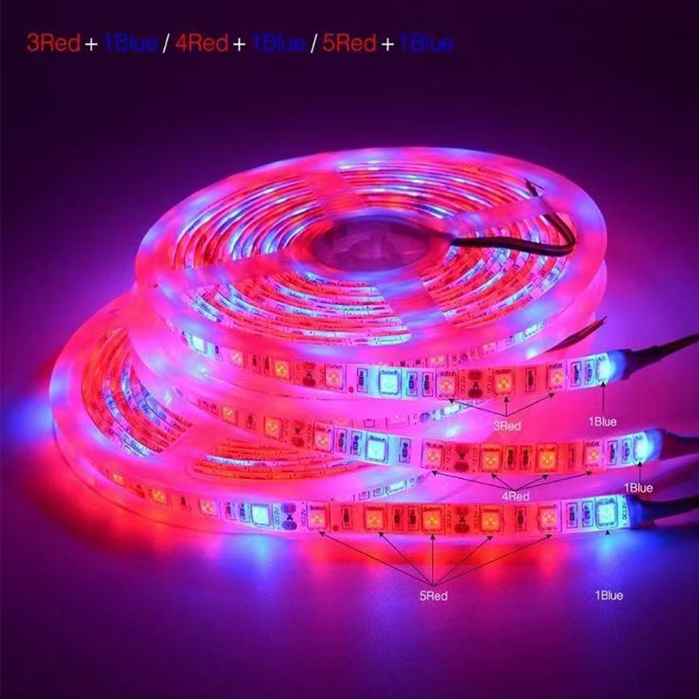 20M LED Grow Light Spectrum DC - Outdoor Power And Plant 리뷰 및 가격