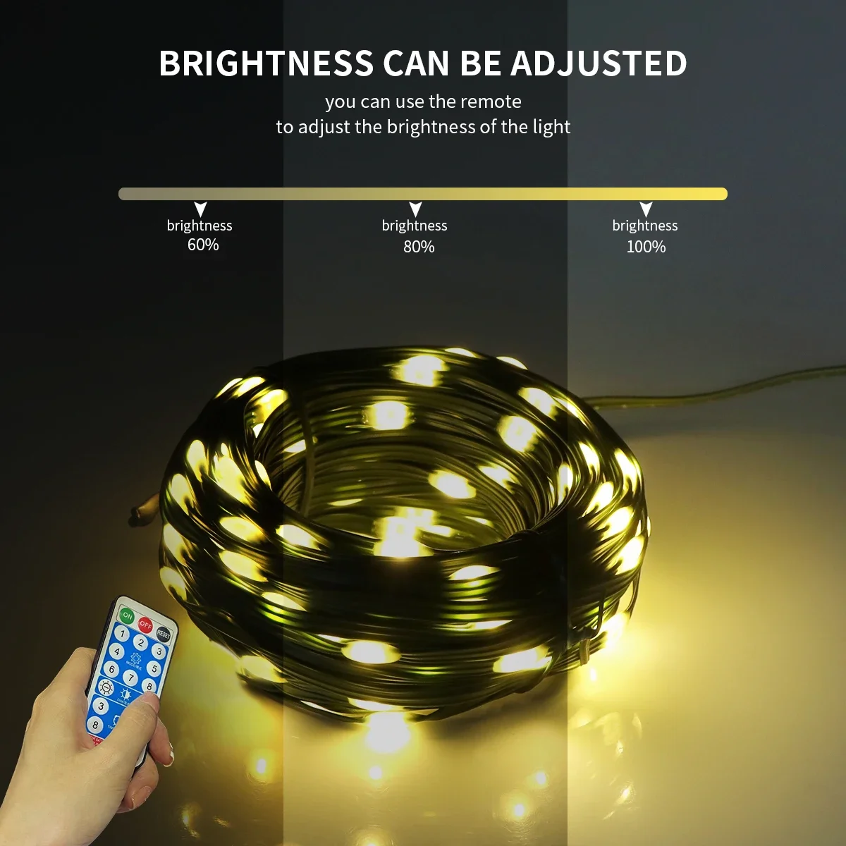 Outdoor Solar Panel LED String - Outdoor Power Lead Cover 리뷰 및 가격