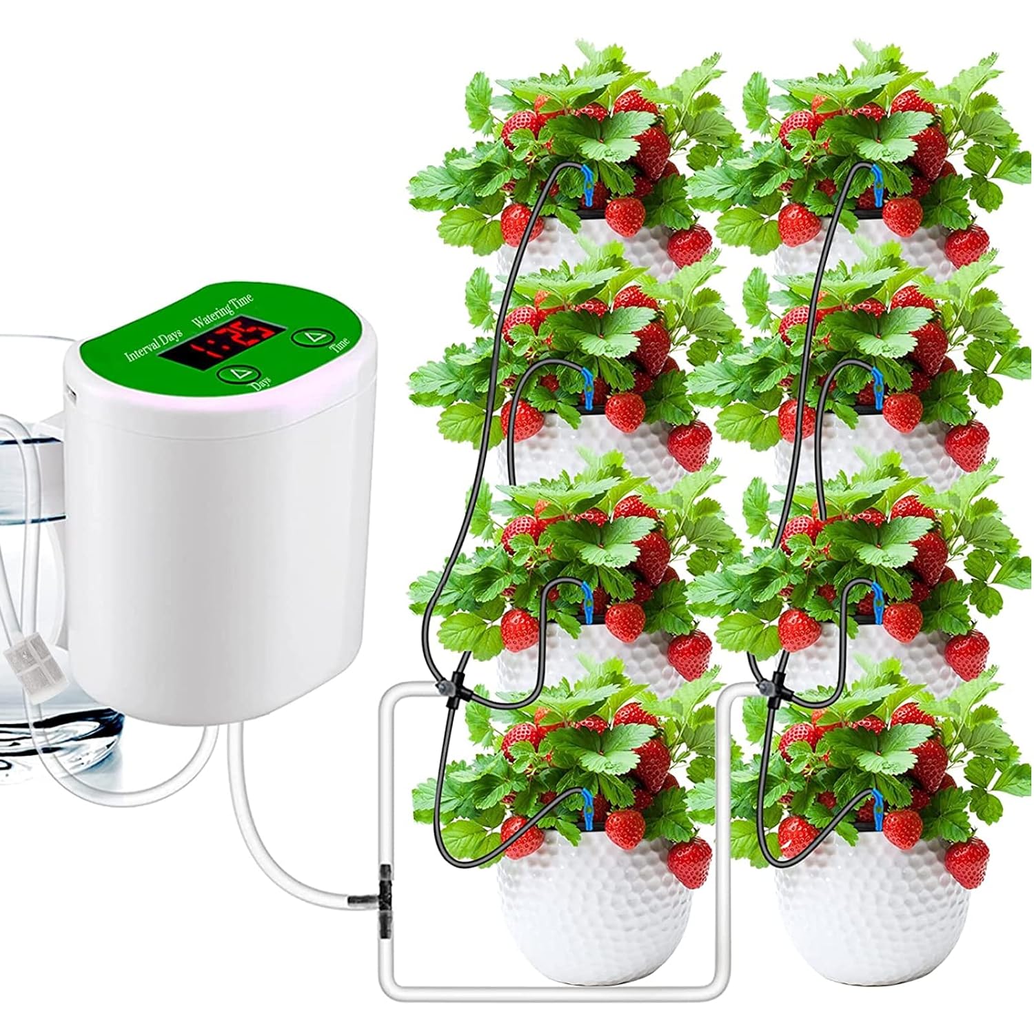 Outdoor Garden Plant Watering  - Outdoor Power And Plant 리뷰 및 가격