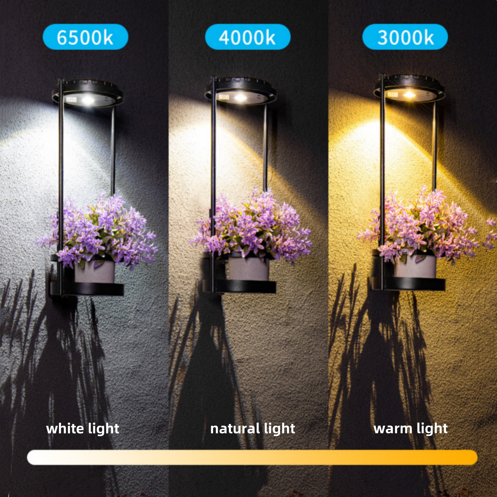 LED Solar Garden Lights Outdoo - Outdoor Power And Plant 리뷰 및 가격