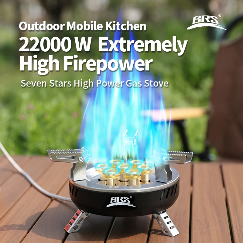 BRS-207-Core Camping Gas Stove - Outdoor Power 'Hose' 리뷰 및 가격